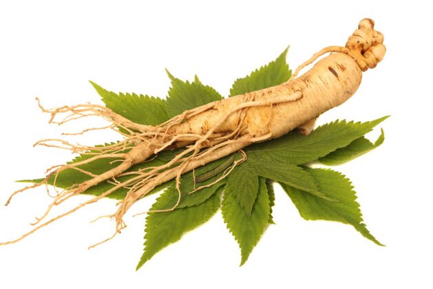ginseng root in the spray Nicode